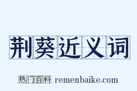 荆葵近义词是什么意思的图片